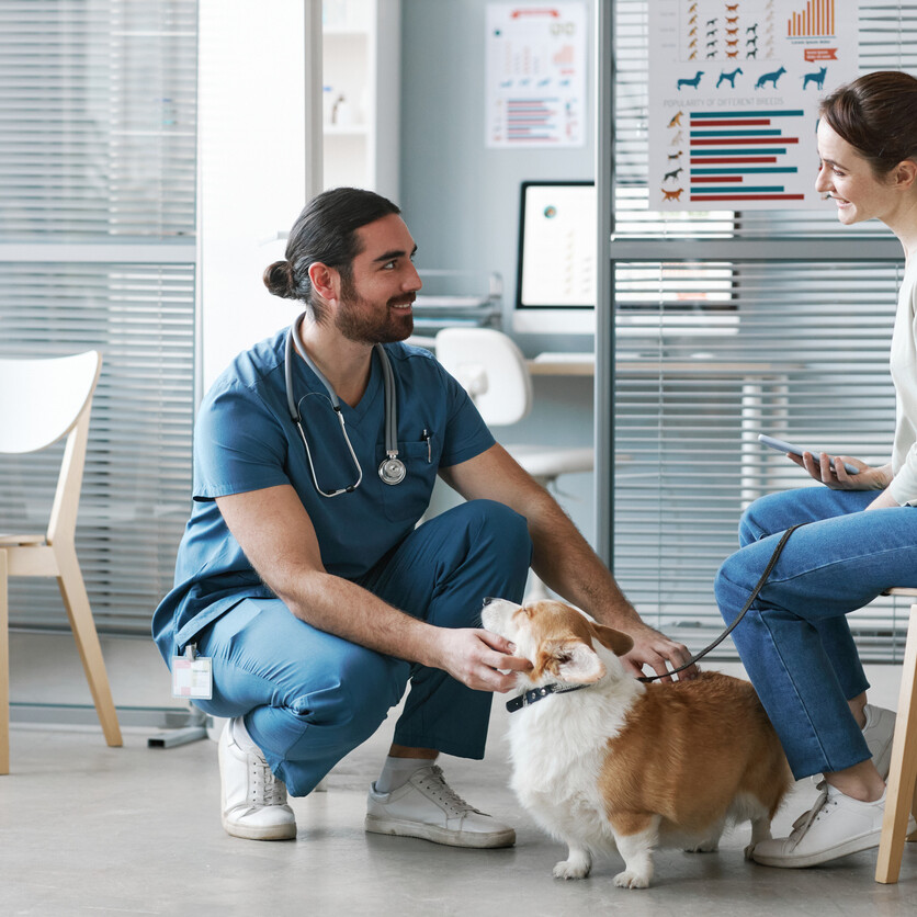 Femme chez le vétérinaire avec son chien, illustrant le coût d’un animal de compagnie et les soins nécessaires.